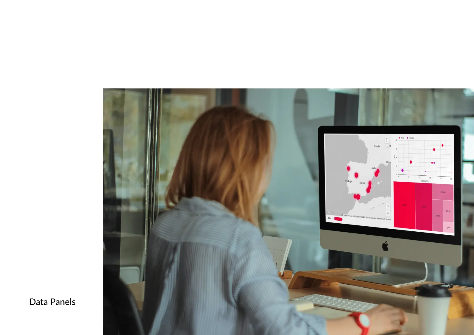 analitica web freelance