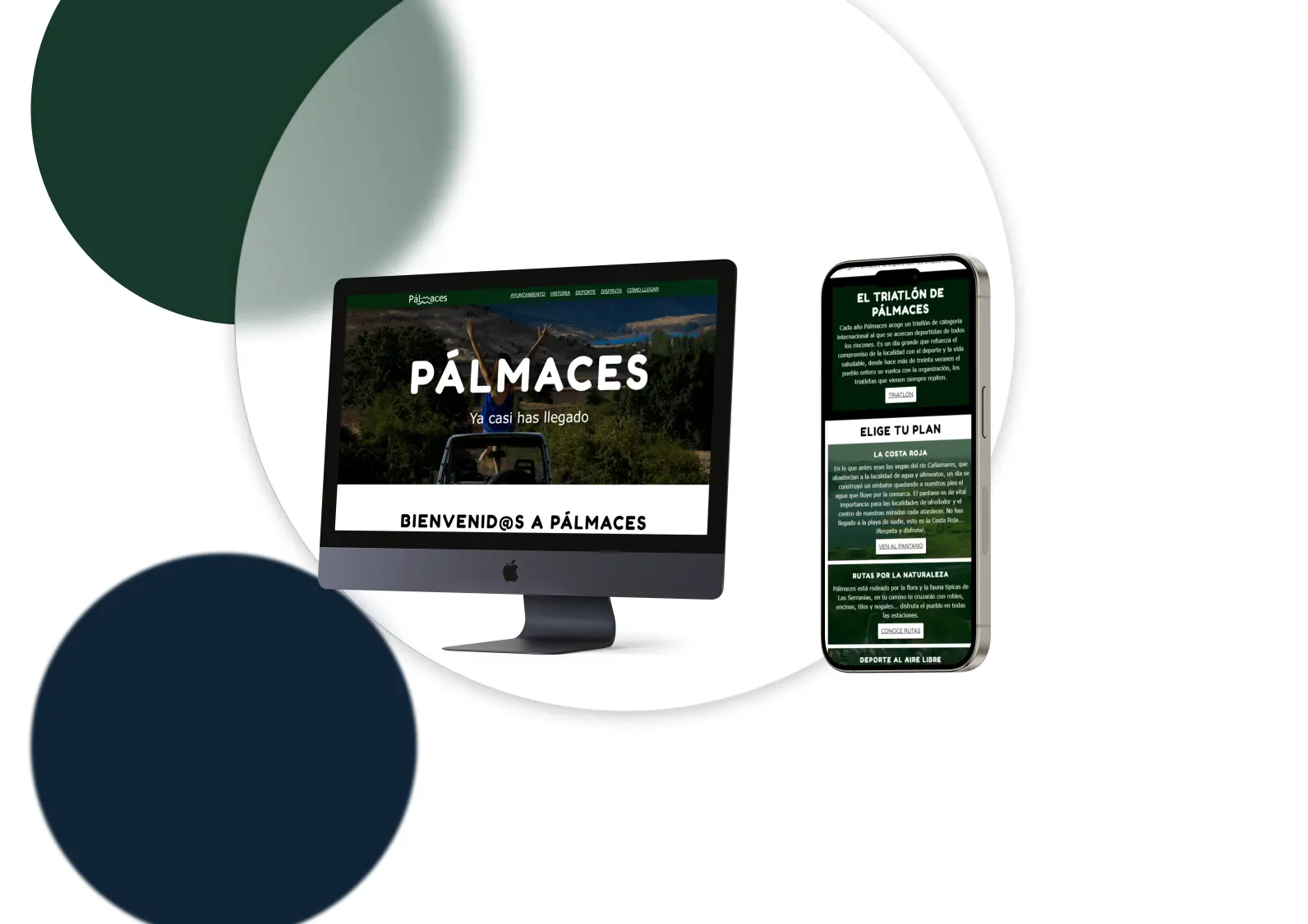 portfolio diseño web